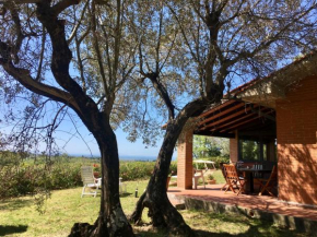 TOSCANA TOUR - Cottage Gaia with sea view, fenced garden
